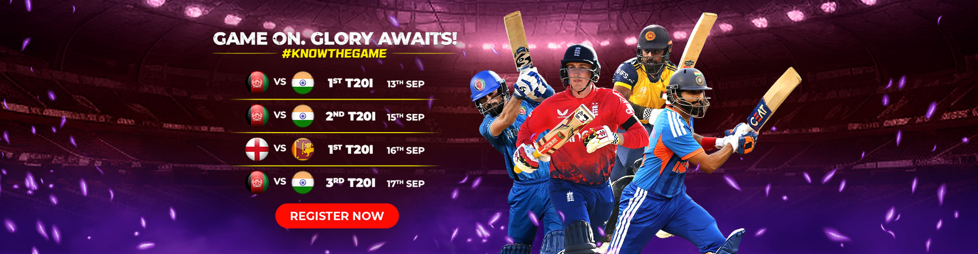 Cricket Banner (Pre)