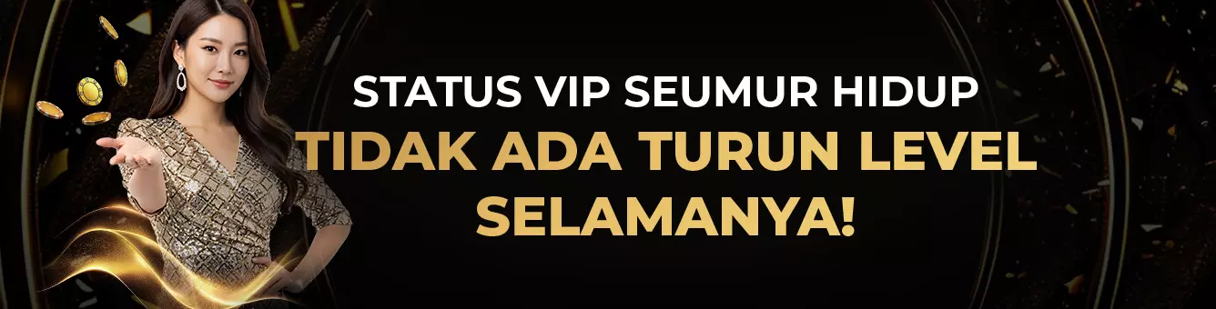 vip-swiper-banner-2