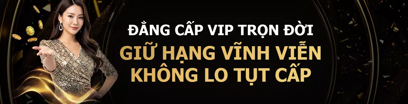 vip-swiper-banner-2